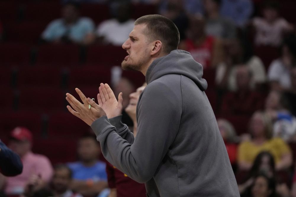 呆若木鸡 呆若木鸡